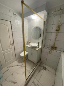 图尔恰Apartament Diana的一间带水槽、卫生间和镜子的浴室