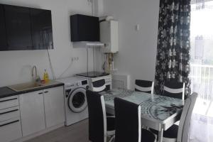 普洛耶什蒂Real Residence -apartament cu 3 camere- Valeni 144的厨房配有桌子和洗衣机。