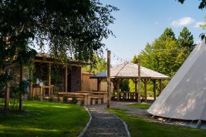 BęczynMoon Glamping Resort的一个带野餐桌和凉亭的花园