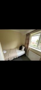 圣艾夫斯Comfy, cozy house with disabled access的一间卧室设有一张床和一个窗口