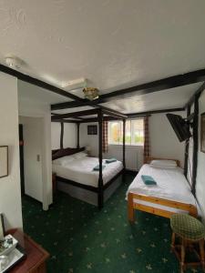 金斯兰利国王洛奇酒店的绿地毯间内的两张床