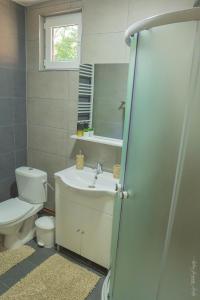 PoeniCabana Amis的一间带水槽、卫生间和镜子的浴室