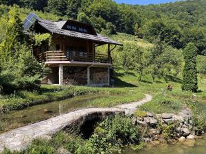 泽尼察Vikendica Green Forest, Zenica的河畔山丘上的房屋
