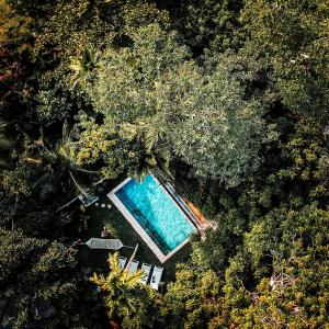 高尔Ceylon Olive Galle的享有游泳池和树木的顶部景致