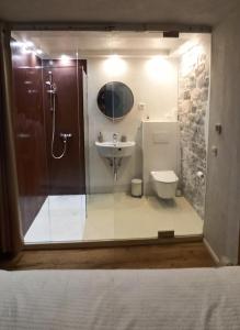 皮兰Vila Nada Piran的带淋浴、卫生间和盥洗盆的浴室