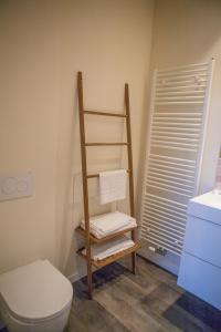 根特Maison d’Arnaud的一间带卫生间的浴室和一个带毛巾的架子
