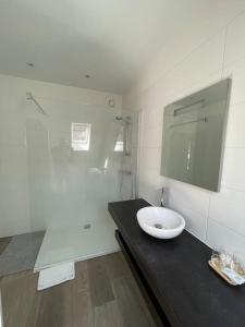 希迈Chimay : la Chambre Verte de la Grand Place的浴室配有盥洗盆和带镜子的淋浴