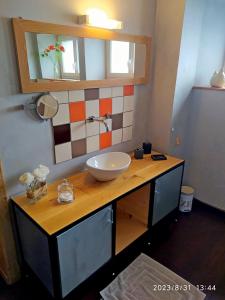 拉布雷斯Appartement Maison Vosgienne La Bresse Centre的浴室设有水槽和镜子