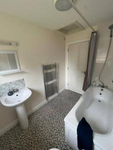 莫纳汉Dundonagh House, Glaslough,的一间带水槽、浴缸和卫生间的浴室