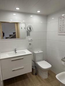 穆尔西亚Apartamento Murcia San José B的一间带卫生间、水槽和镜子的浴室