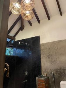 莫尔吉姆Jardin d'Ulysse & Hard Rock的一间带卫生间的浴室和天花板上的两个吊灯。