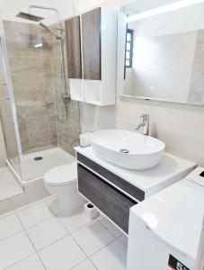 法兰西堡Appartement cosy dans résidence avec piscine的一间带水槽、卫生间和淋浴的浴室