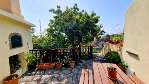 Los SaucesLos Nacientes: Cordero的阳台配有木桌和盆栽植物