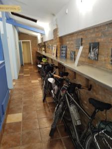 贝尔格莱德Hostel Iris的停在柜台旁的一排自行车