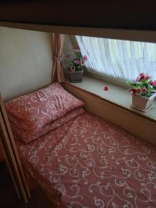 皮罗特Kamp sv.Jovan的窗户两棵植物间的一张床位