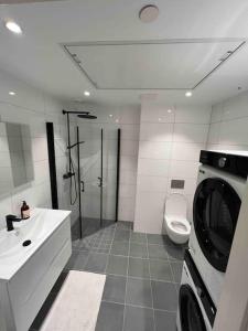 卑尔根Sentrums-nær leilighet med sjøutsikt的浴室配有卫生间、盥洗盆和洗衣机。