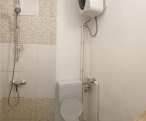 卢戈日Matei Petra的一间带卫生间和淋浴的小浴室