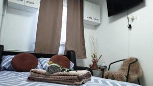 卢戈日Matei Petra的一间卧室配有带毯子和枕头的床。