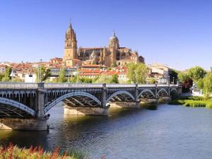 托尔梅斯河畔圣马尔塔Chalet urbano en Salamanca的一座河上的桥梁,以城市为背景