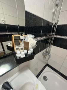 VideleCasa Alpin Videle的一间带水槽、卫生间和镜子的浴室