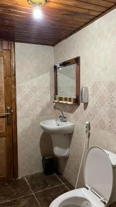 瓦迪拉姆SUN LUXURY CAMP &Tour的一间带卫生间和水槽的浴室
