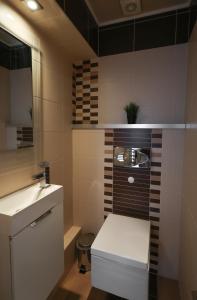 华沙ClickTheFlat Chłodna Center Apart Rooms的一间带卫生间和水槽的浴室