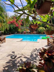 阿皮亚萨摩亚瓦伊酒店的植物繁茂的庭院中间的游泳池