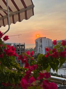 伏罗拉Marina Appartamenti的阳台享有日落美景,并种植了粉红色的鲜花。