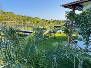 普拉亚多INCRIVEL apartamento com vista lago!的一座棕榈树公园上的桥梁和一座桥梁