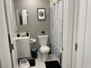 卡尔加里Cozy basement suite的一间带卫生间和淋浴帘的浴室