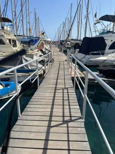 莫甘海滩Boat in Puerto de Mogán的码头上有许多船的码头