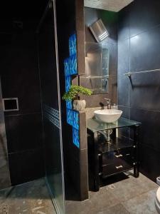 波哥大habitaciones disponibles en una casa en el norte de la ciudad, a 5 minutos del portal norte的一间带水槽和淋浴的浴室