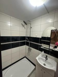 VideleCasa Alpin Videle的一间带水槽和镜子的浴室