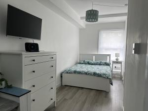 巴尔内特High Barnet Studio Flat的一间卧室配有一张床和一个带电视的梳妆台。
