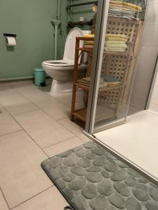 ContheyChez Pipo的浴室设有卫生间,地板上铺有地毯。