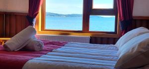 安库德Hostal Vista al Mar hct的窗前的一张床上有泰迪熊