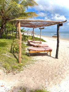 基林多尼Juani beach bungalows的一群长椅坐在海滩上