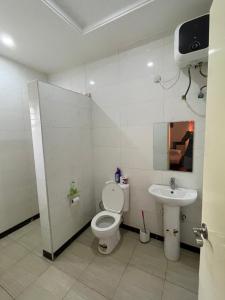 拉各斯Lovadek Spacious Apartment的一间带卫生间和水槽的浴室