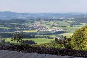 GrainetBergChaletWeitblick的从山顶上可欣赏到山谷的景色