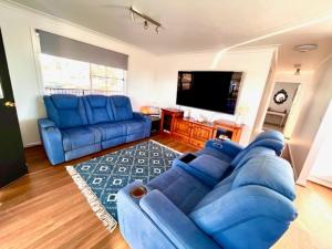 ClarendonClarendon Cottage , near lowood的客厅配有蓝色的沙发和平面电视。