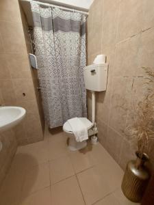 海法Hotel Loui Talpiot的浴室配有卫生间、淋浴和盥洗盆。