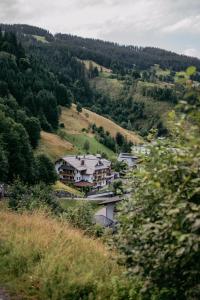 霍赫克尼希山麓丁滕ALMHOF Alpin Apartments & Spa的山丘上树木丛生的房屋