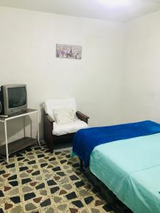 佩雷拉hostal la 18的一间卧室配有一张床、一台电视和一把椅子
