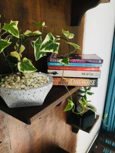 埃拉Treetops ella的书架上一堆书,与植物一起
