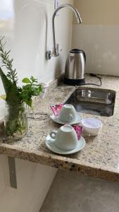 瓜拉派瑞POUSADA RECANTO DULE的厨房柜台设有水槽和碗碟