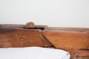圣玛丽亚Casa Pau的床上的一块木头的壁