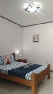 马拉帕斯加ELEN INN - Malapascua Island FAN ROOM #1的一间带一张床铺的卧室,位于带天花板的房间内