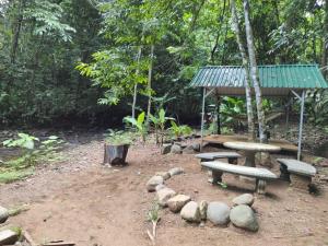 乌维塔Cool Waters Jungle Villas的野餐区设有野餐桌和长椅