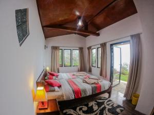 奥希亚Hill Safari - Tea Estate Villa的一间卧室设有一张大床和大窗户