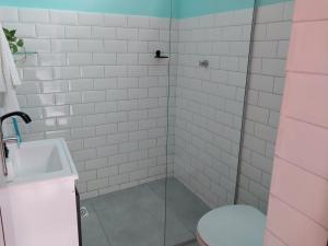 马拉巴Ap. 2 quartos próx. Aeroporto的带淋浴、卫生间和盥洗盆的浴室